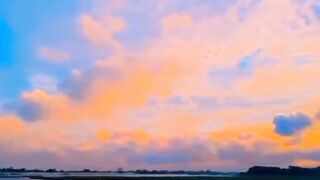 The best nature scane