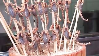 Alive Scorpion Food Eating Video
