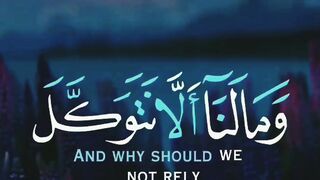 Beautiful quran recitation 6