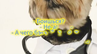 Я вчера жене в -шопе вибратор купил...