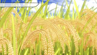 Tensui no Sakuna-hime - Anime - Eps 01