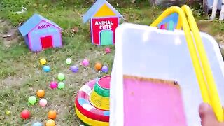 Colurful hen baby/cute hen chiks/beautiful hen chiks