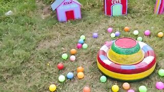 Colurful hen baby/cute hen chiks/beautiful hen chiks 2