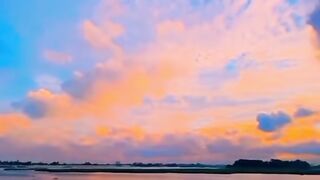 The amazing video about nature
