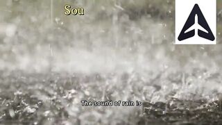 Mesmerizing Rain Sounds Leaves in Gentle Rain