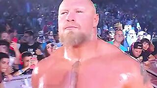 Cm punk vs Blocklesnar