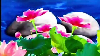 Релакс природа цветы