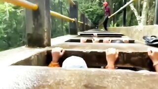 The Entertainment Jungles: A Journey Through Nature’s Wonders
