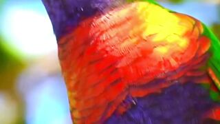 Beautiful nature 184