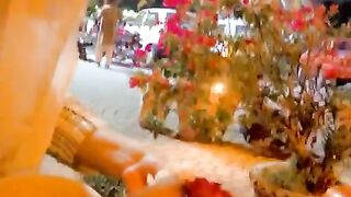 Holidays 5