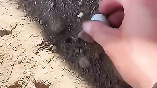 Stumbled_upon_an_abandoned_egg_and_hatched_it_into_a_beautiful_parrot._#animals_#shortvideo(480p).