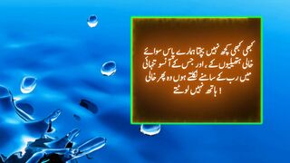Most Beautiful And Heart Touching Quotes in Urdu And Hindi 2