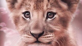 Релакс природа 16