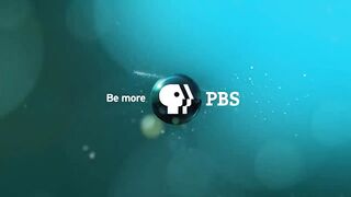 Baby Emperor Penguins Emerge from Their Shells - Nature on PBS.