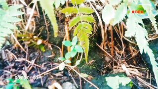 Cool natural cinematics using an Android cellphone 2024 II Natural cinematic videos
