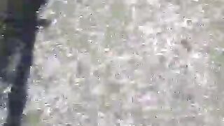 Pembudidaya Ikan Lele segmen pembesaran KOLAM TANAH absen dibawah, kita gak kenal musim