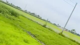 Beautiful seen 13