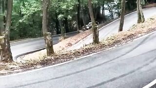 Most beautiful car videos