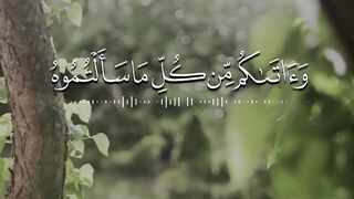 القرأن الكريم بصوت خالد الجليل