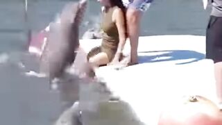 Funny viral video EP 10