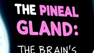 Discover the Power of the Pineal Gland: The Brain's Hidden Gem