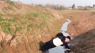 funny video 523