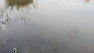 Lake in Indonesian place