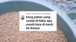 Sisa pelet yang sudah dibibis apa masih bisa diberikan ke ikan lele❓