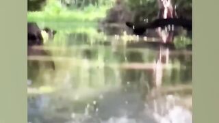 This kid is unbelievable