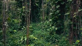 Bando Stone & The New World Trailer #1 (2024).