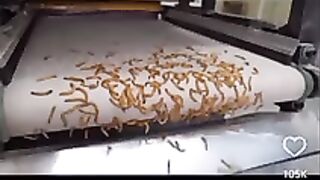 Protein powder 2