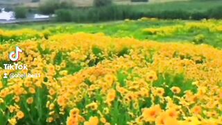 Oh Kenda eaguzry huy waqat deyen yadan sambhal k rakhen sajna