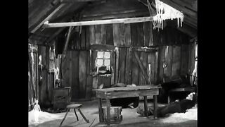 Best Charlie Chaplin  videos funy videos
