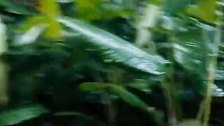 Movie video 10