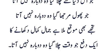 Urdu beautiful quotes 13