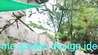 Kichengarden routine growing seeds timing starting seeds gardening gardening is a very