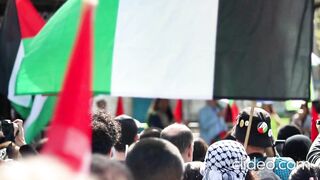 love for palestine