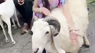 _cute_#baby_#cow_#inshallah_#funny_#cutebaby(360p).