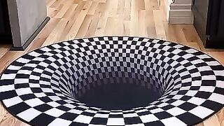 Dogs funny reaction to entering optical illusion rug!   9.7M views  year ago
