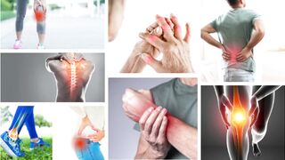 HondroLife Reviews 2024 (Must Read!) Hidden Facts about The HondroLife Revealed)