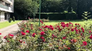 Nature beauty 20