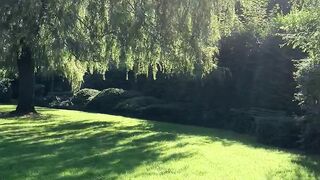Love and garden