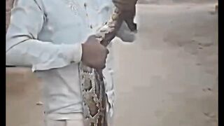 Snake kissed a man