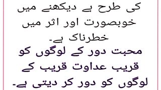 Aqwal e Hazrat Ali RA 6