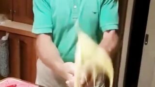 Crazy Moment #shorts #crazy #funny #viral 6