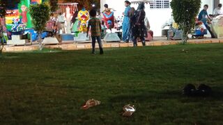 Kids playing in jumping castle