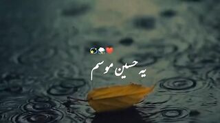 barish 2