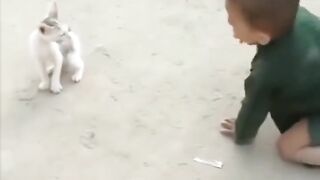 Wwe fight 4