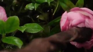 Movie scene for flowers lover????????