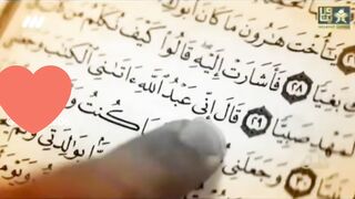 Telawate Quran Recitation Heart touching